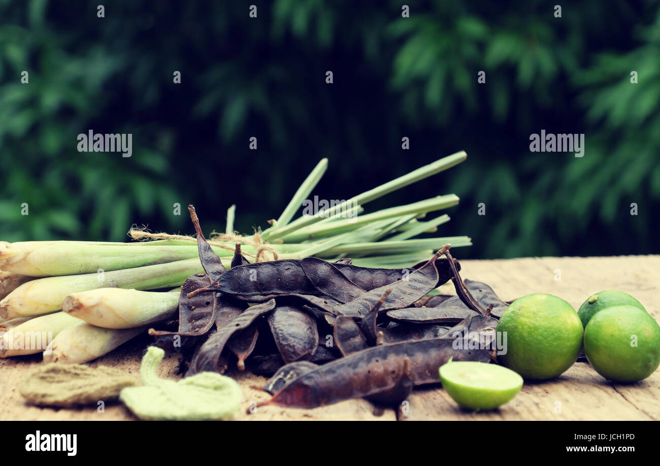 Ingrediente a base di erbe per la cura dei capelli a casa da soap berry, limone, citronella pianta, tutti i materiali bollire con acqua per rendere la natura shampoo Foto Stock Ingrediente a base di erbe per la cura dei capelli a casa da soap berry, limone, citronella pianta, tutti i materiali bollire con acqua per rendere la natura shampoo Foto Stock
