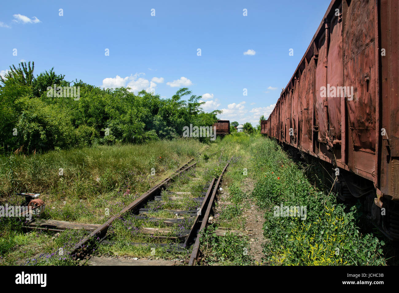 Vecchi vagoni ferroviari sulla linea ferroviaria di erbacce, arbusti ed erba. Foto Stock