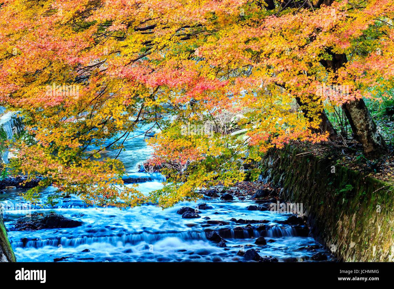 Kyoto, Giappone - 22 Novembre 2013: Kurama-dera è un tempio nel lontano nord di Kyoto, Giappone Foto Stock