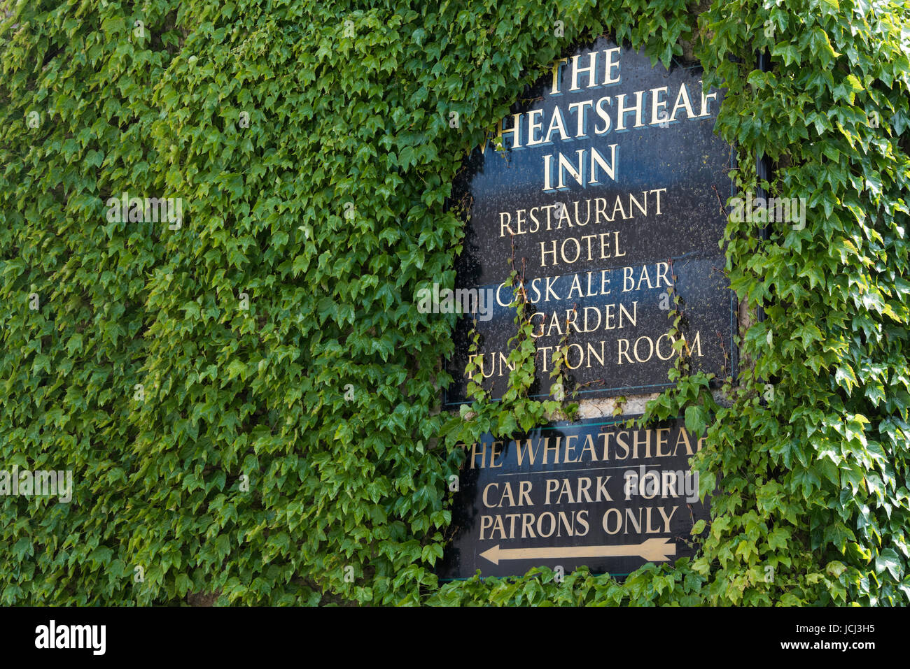 Il Wheatsheaf inn segno circondato da Boston ivy in primavera. Northleach, Gloucestershire, Cotswolds, Inghilterra Foto Stock