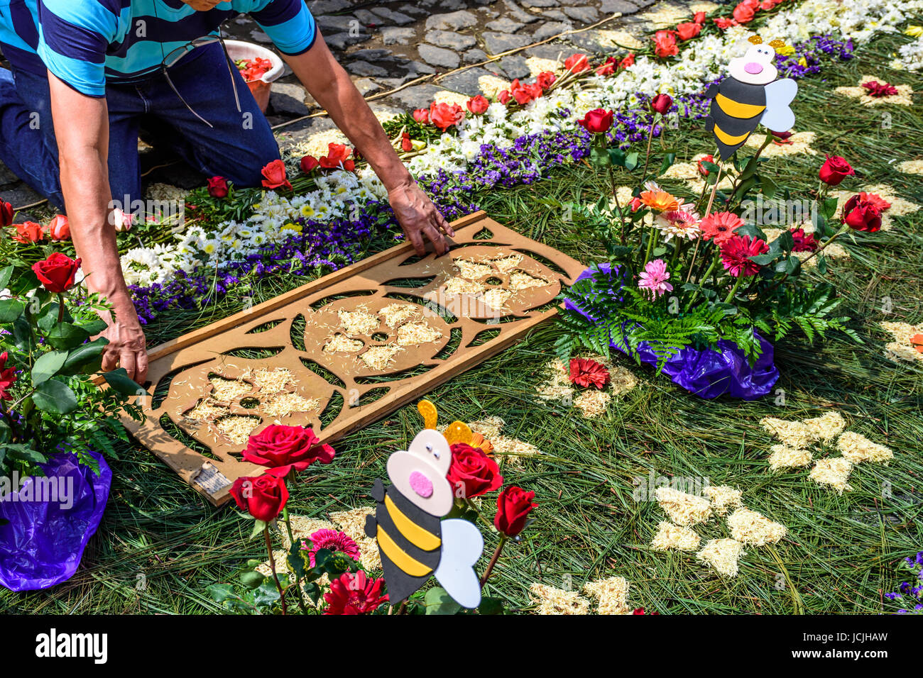 Antigua Guatemala - 6 marzo 2016: locale decora ago di pino quaresima processione tappeto con fiori e segatura con stencil in città coloniale Foto Stock