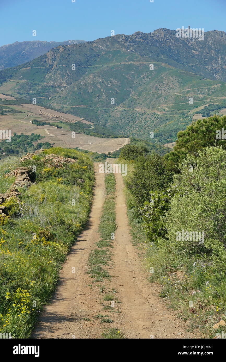 Il percorso nella campagna che conduce alla montagna del massiccio del Albera, banyuls sur Mer, Pirenei orientali, Roussillon, nel sud della Francia Foto Stock