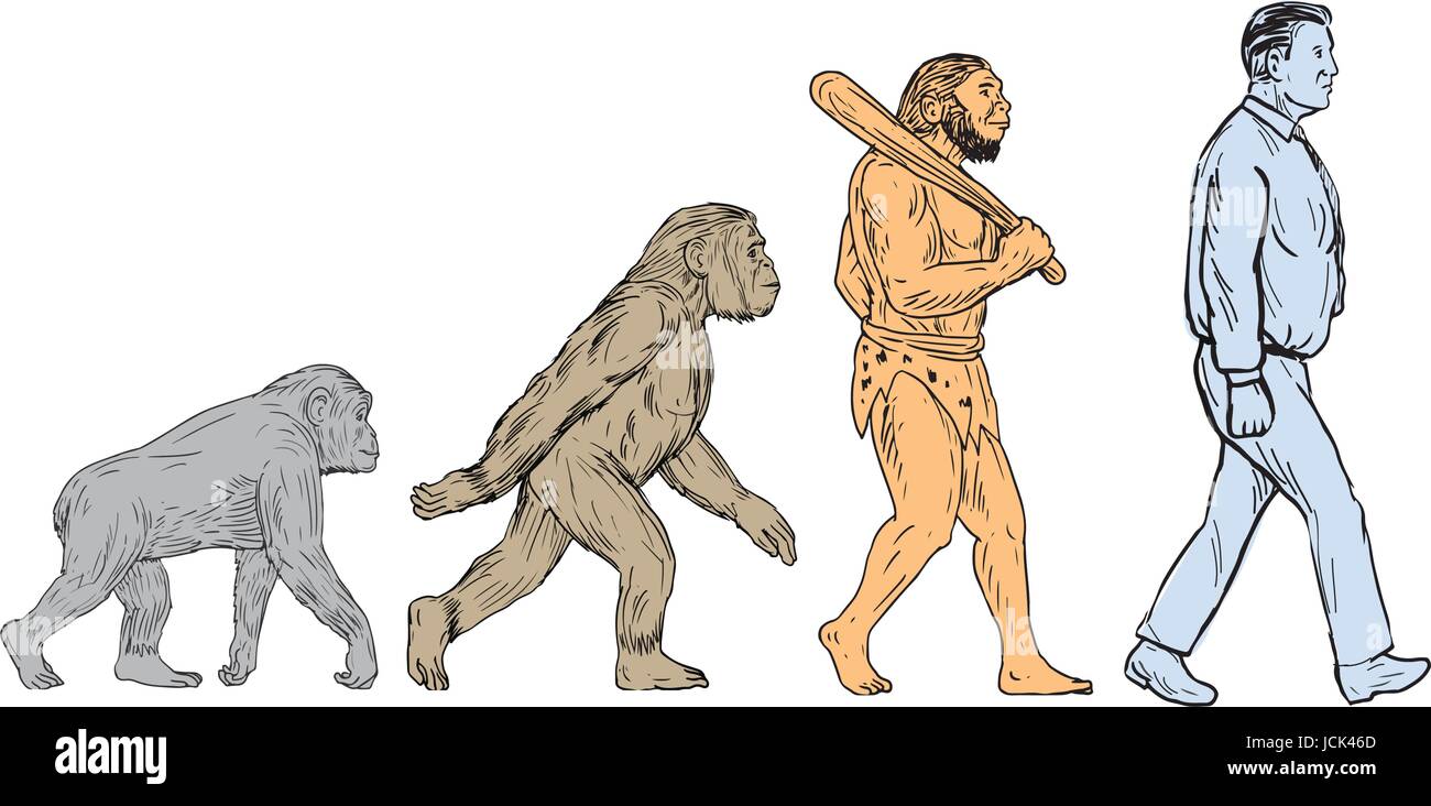 Disegno stile sketch illustrazione che mostra l'evoluzione umana dal primate di ape, Homo habilis di homo erectus di giorno moderno homo umana sapien a piedi visto Illustrazione Vettoriale