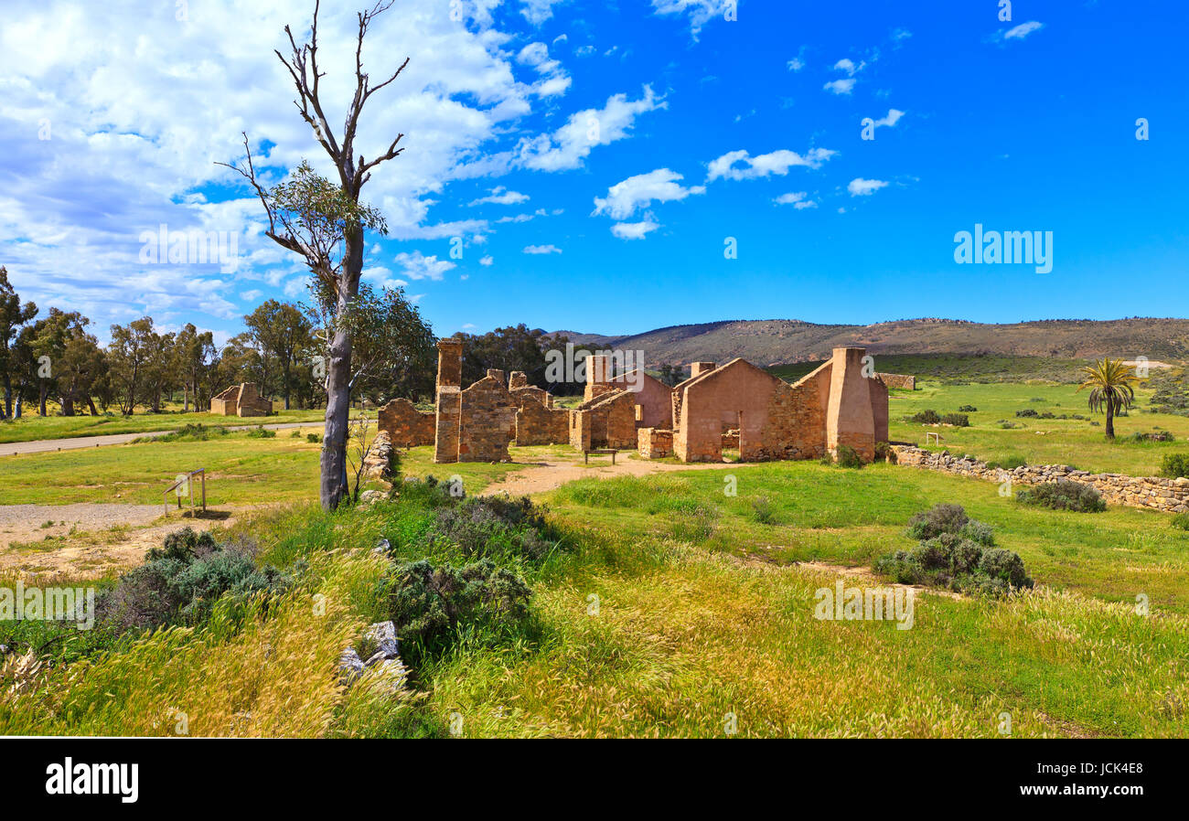 Foto scattata su una quattro giorni di vacanza nel mese di ottobre del 2016 durante il soggiorno a Willow Springs Station, Jackaroos Cottage, Flinders Ranges , South Australia Foto Stock