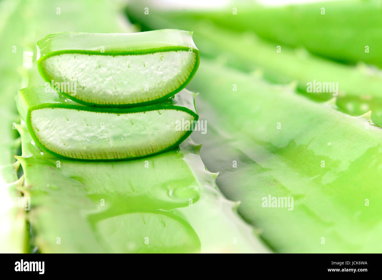 Tagliare Aloe foglie mostra trasparente di Aloe vera gel all'interno. Aloe Vera è molto utile la medicina di erbe per la cura della pelle e dei capelli. Foto Stock