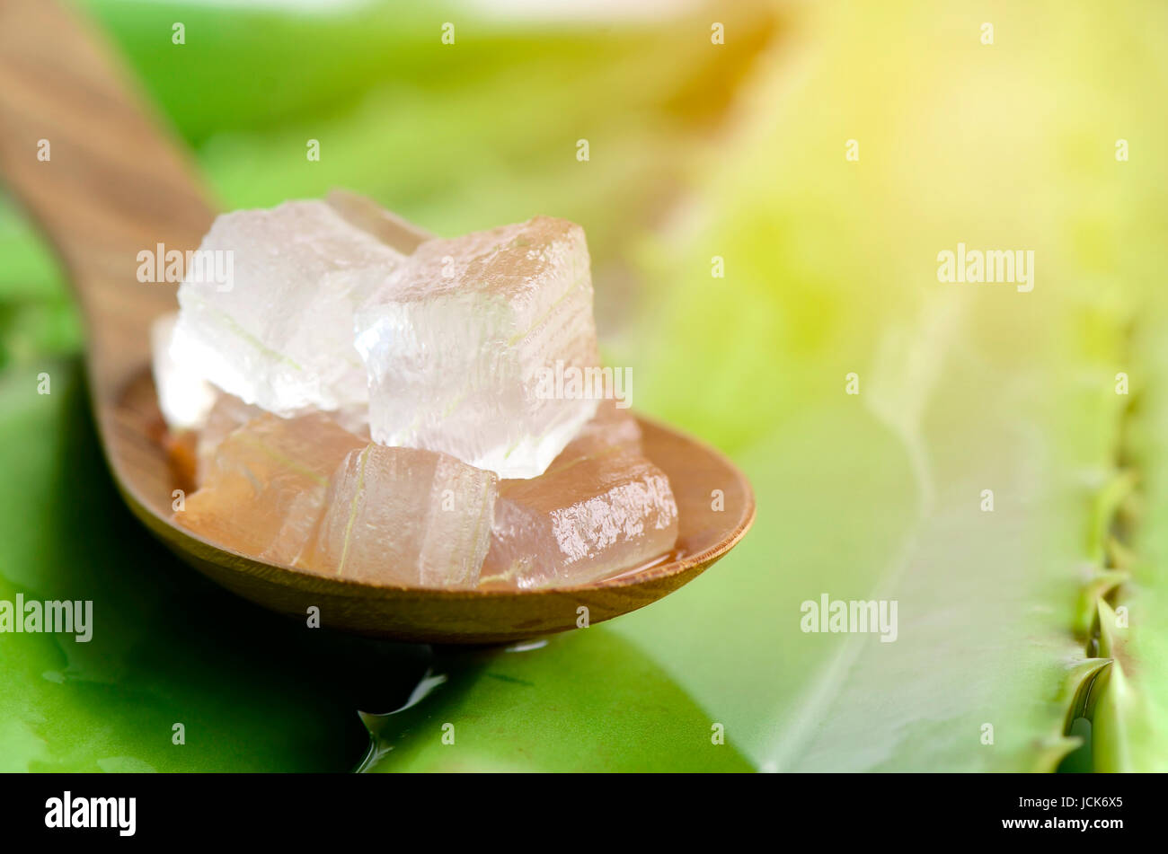 Aloe vera gel in cucchiaio di legno con Aloe Vera lascia lo sfondo. Aloe vera gel utilizzare quasi in cibo, medicina e industria di bellezza. Foto Stock