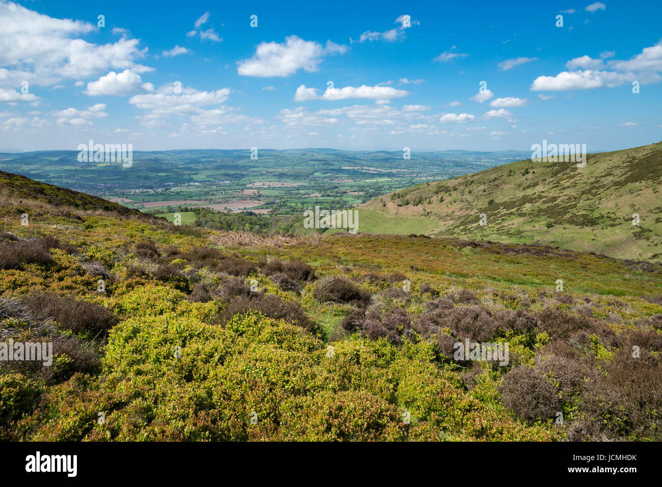 Splendide vedute dalla Moel Famau country park nella gamma Clwydian, il Galles del Nord. Foto Stock