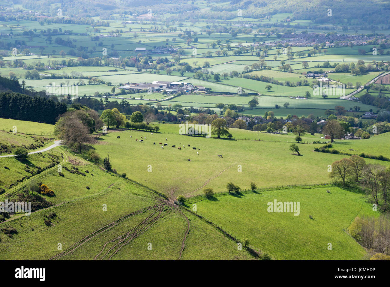 Splendide vedute dalla Moel Famau country park nella gamma Clwydian, il Galles del Nord. Foto Stock