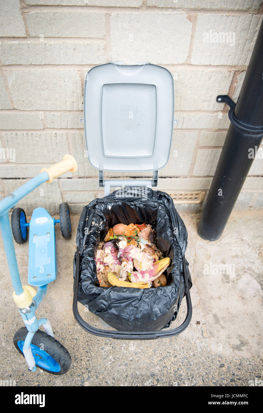 Un domestico rifiuti alimentari di un contenitore che è diventato infestate da vermi REGNO UNITO Foto Stock