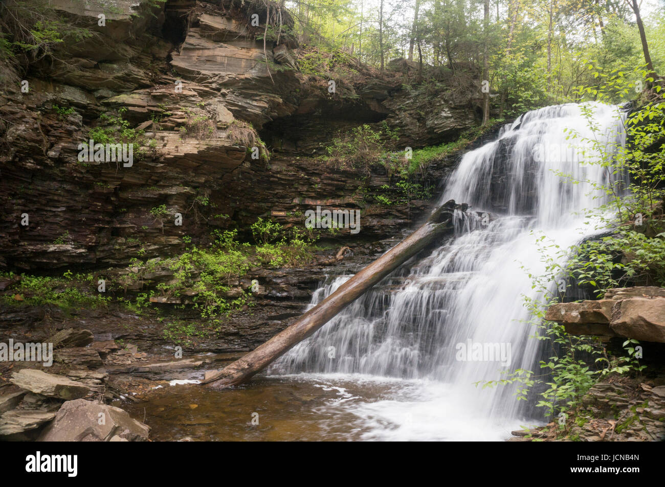 Ricketts Glen escursione a cascata Foto Stock