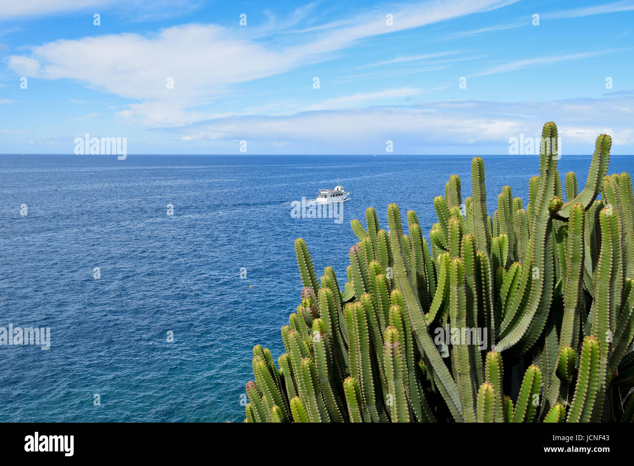 Isola delle Canarie di euforbia dal mare. Isola delle Canarie. Foto Stock
