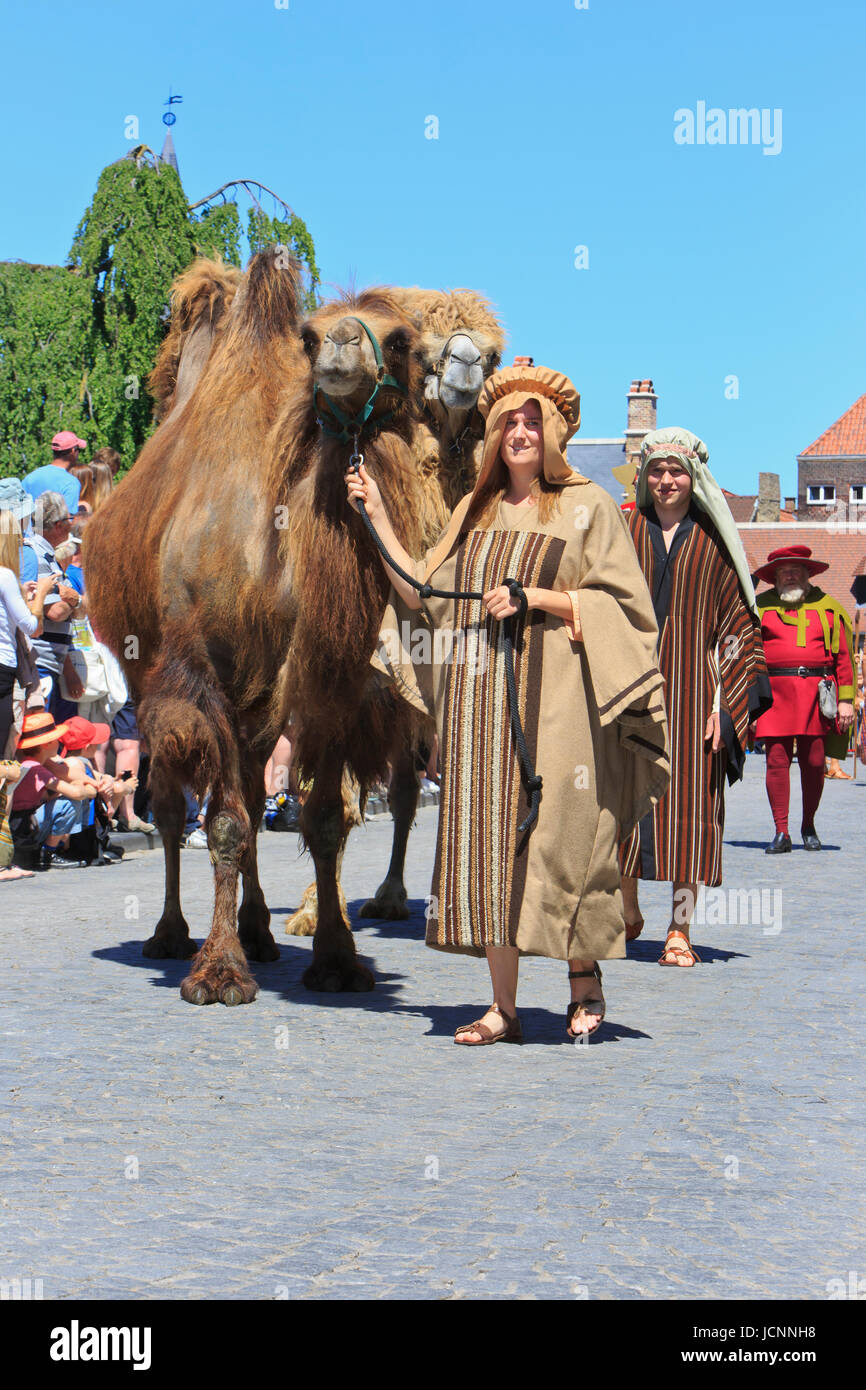 Due Bactrian camel durante il sangue Santo Processione in Bruges, Belgio Foto Stock