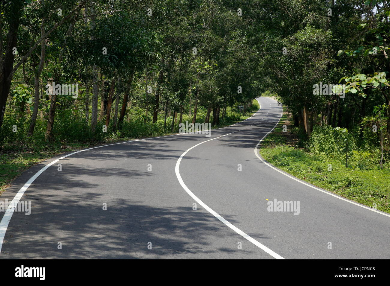 Kaptai Chittagong autostrada all'interno del Kaptai national park, Rangamati, Chittagong, Bangladesh. Foto Stock