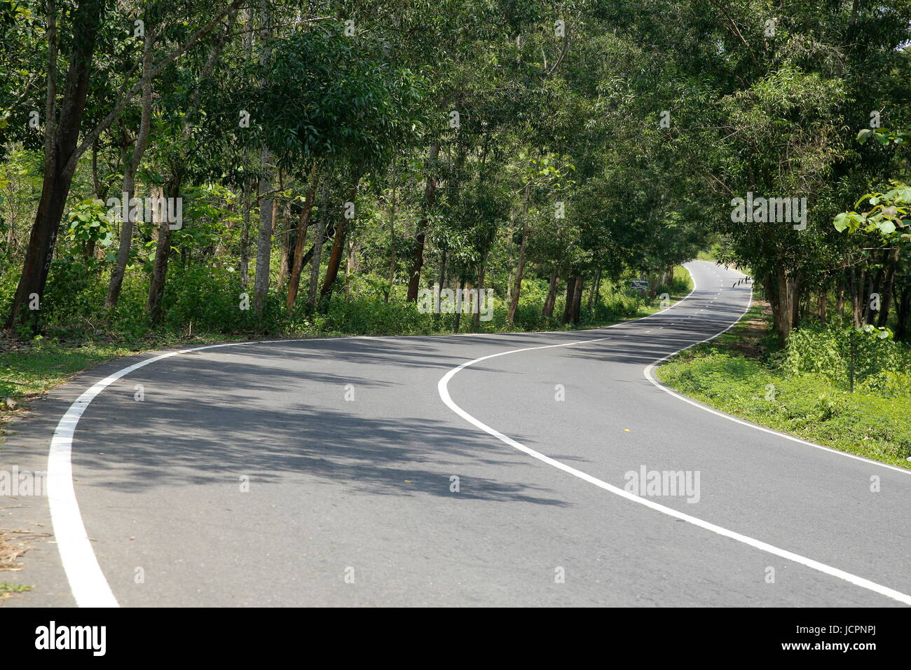 Kaptai Chittagong autostrada all'interno del Kaptai national park, Rangamati, Chittagong, Bangladesh. Foto Stock
