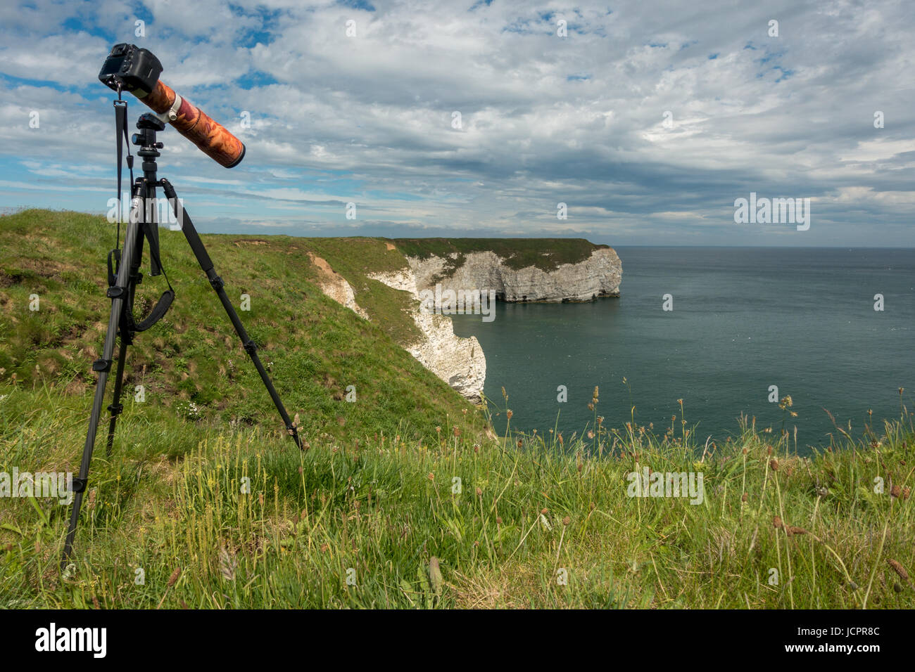 Canon 7D Mark III impostare sul treppiede per fotografare uccelli marini con 400mm lente attaccata e mimetizzazione manicotto, Flamborough chalk cliffs, Yorkshire, Regno Unito Foto Stock
