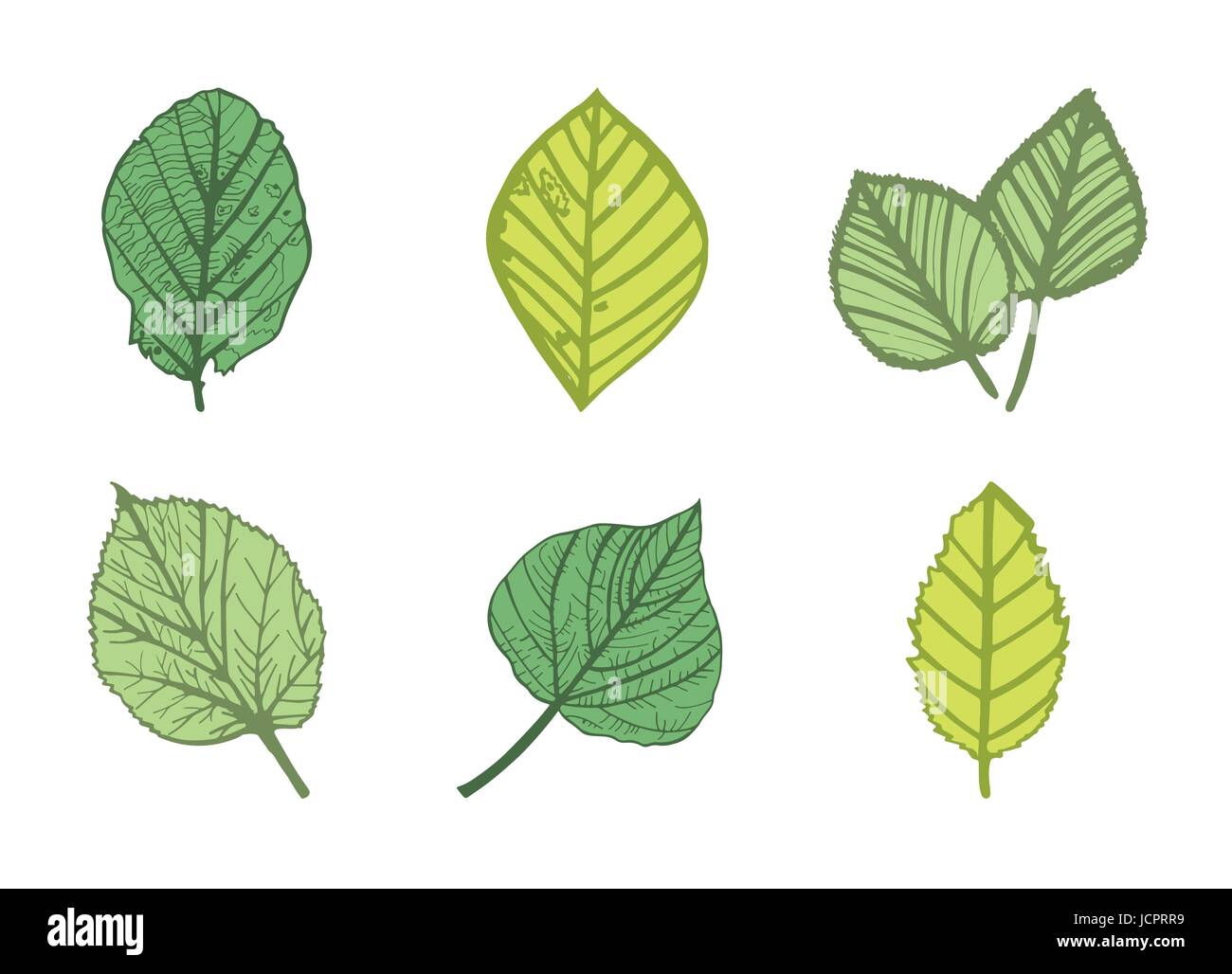 Icona del vettore di varie foglie Illustrazione Vettoriale