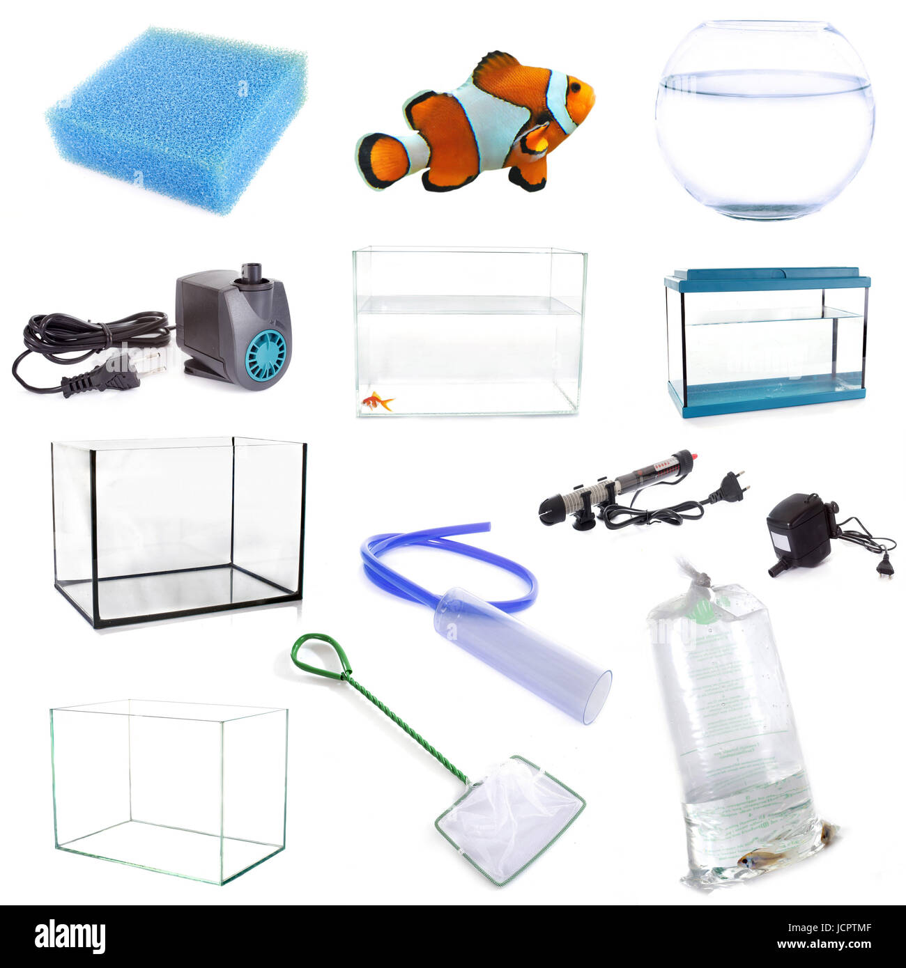 Attrezzature di acquario di fronte a uno sfondo bianco Foto Stock