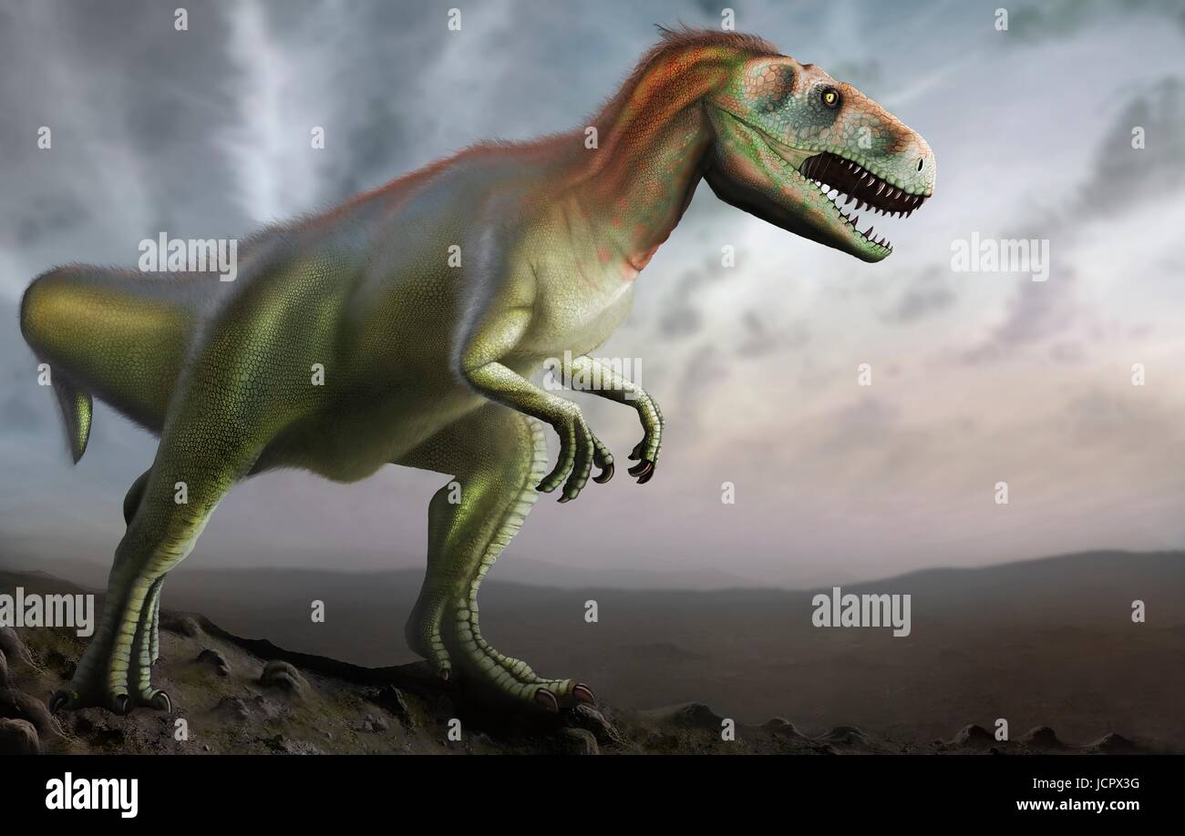 Megalosaurus è genere estinto il mangiar carne dinosauri,theropods,dal Medio giurassico in terra€™s storia,166 milioni di anni fa.It ha vissuto in quello che è oggi il sud dell'Inghilterra.Il primo fossile di dinosauro mai trovata,come molto tempo fa come 1676,era probabilmente un frammento osseo della coscia che apparteneva a Megalosaurus.Questo animale era di dimensioni medie theropod,6 a 7 m di lunghezza con un peso di circa una tonnellata.La comprensione moderna è che megalosaurus potrebbe essere stato coperto di peluria piume,particolarmente lungo il suo ventre indietro. Foto Stock
