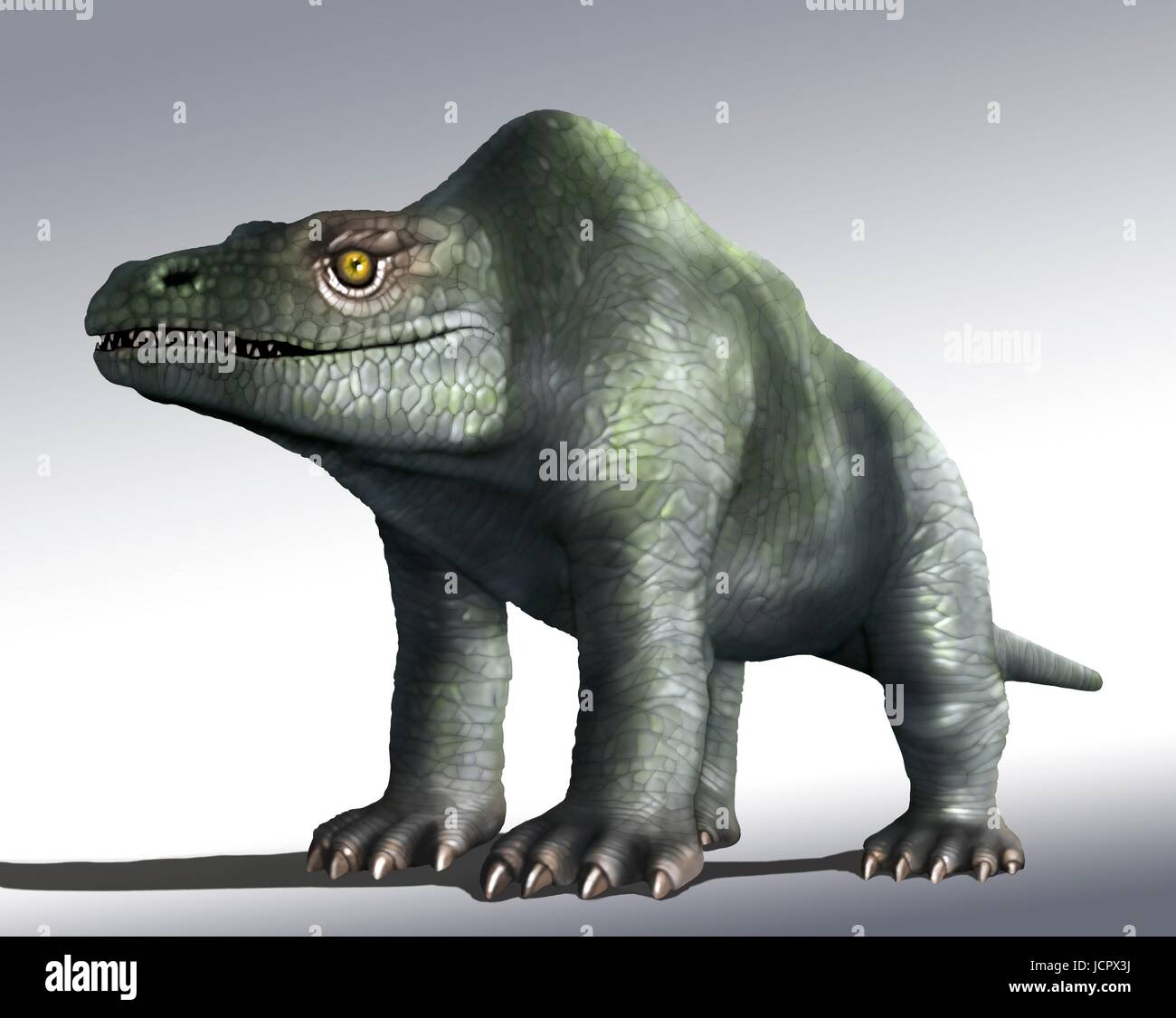 Megalosaurus è genere estinto il mangiar carne dinosauri,theropods,dal Medio giurassico in terra di storia,166 milioni di anni fa.It ha vissuto in quello che è oggi il sud dell'Inghilterra.Il primo fossile di dinosauro mai trovata,come molto tempo fa come 1676,era probabilmente un frammento osseo della coscia che apparteneva a Megalosaurus.Questo animale era di dimensioni medie theropod,6 a 7 m di lunghezza con un peso di circa una tonnellata.Questa illustrazione mostra animali come era stato originariamente immaginato di apparire,indietro nel diciannovesimo secolo.L'immagine si basa famose statue animale in London Crystal Palace Park.Sappiamo ora che ha camminato due gambe come altri theropods. Foto Stock