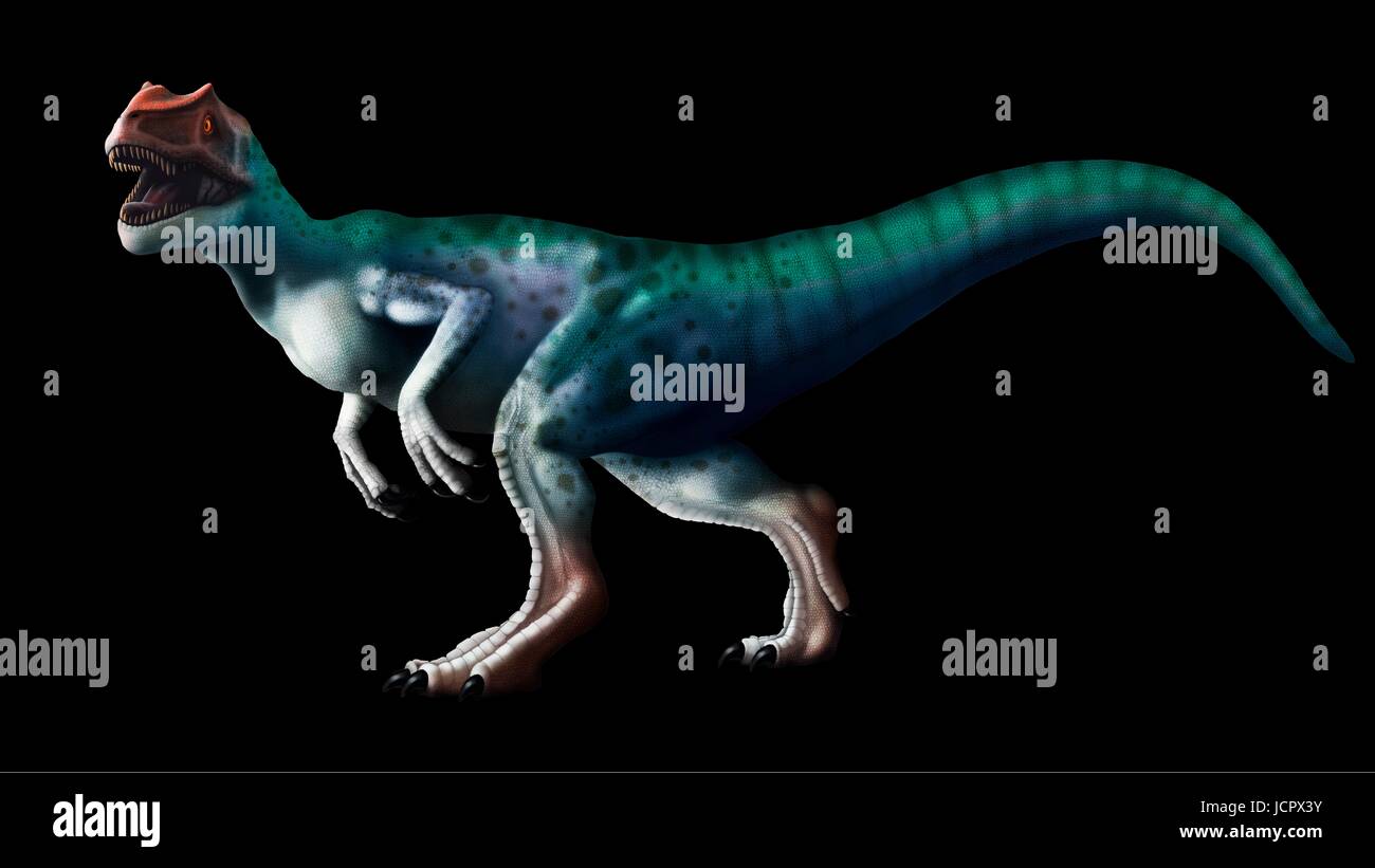 Allosaurus dinosauro, opere d'arte. Allosaurs erano grandi carnivori theropods che visse durante il tardo giurassico (150 a 155 milioni di anni fa in quello che oggi è il Nord America. Essi erano bipedi (a due gambe) predatori che media un'altezza di 8,5 metri. Essi sono stati l'apice predatori del loro tempo e sono stati indicati come il leone del Giurassico. Foto Stock