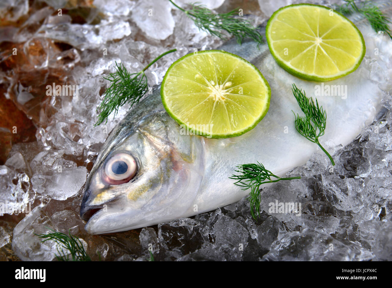 Pesce di carangidi jack o congelate in ghiaccio con limone e sale freschi dal mercato della pesca pronti per la cottura. Foto Stock