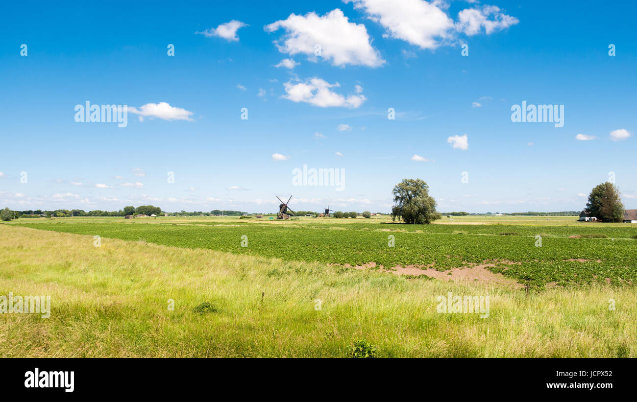 Panorama dei polder con due montante cavo mulini a vento vicino Sleeuwijk in Brabant, Paesi Bassi Foto Stock