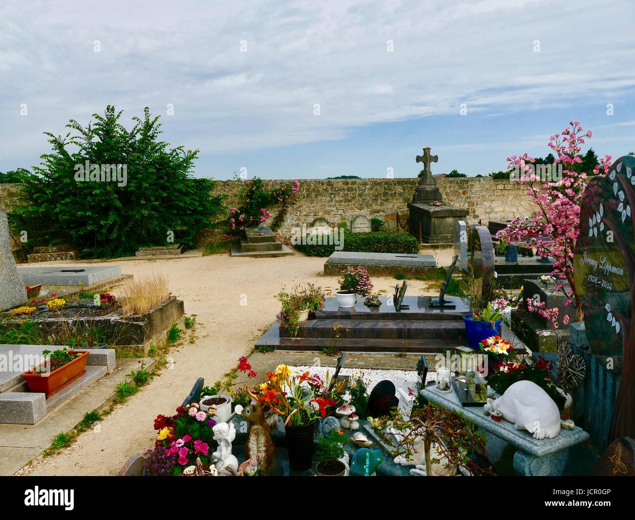 Tombe di Vincent Van Gogh e suo fratello Theo, Cimetière d'Auvers-sur-Oise, Auvers-sur-Oise cimitero, Francia, giugno 2017. Foto Stock