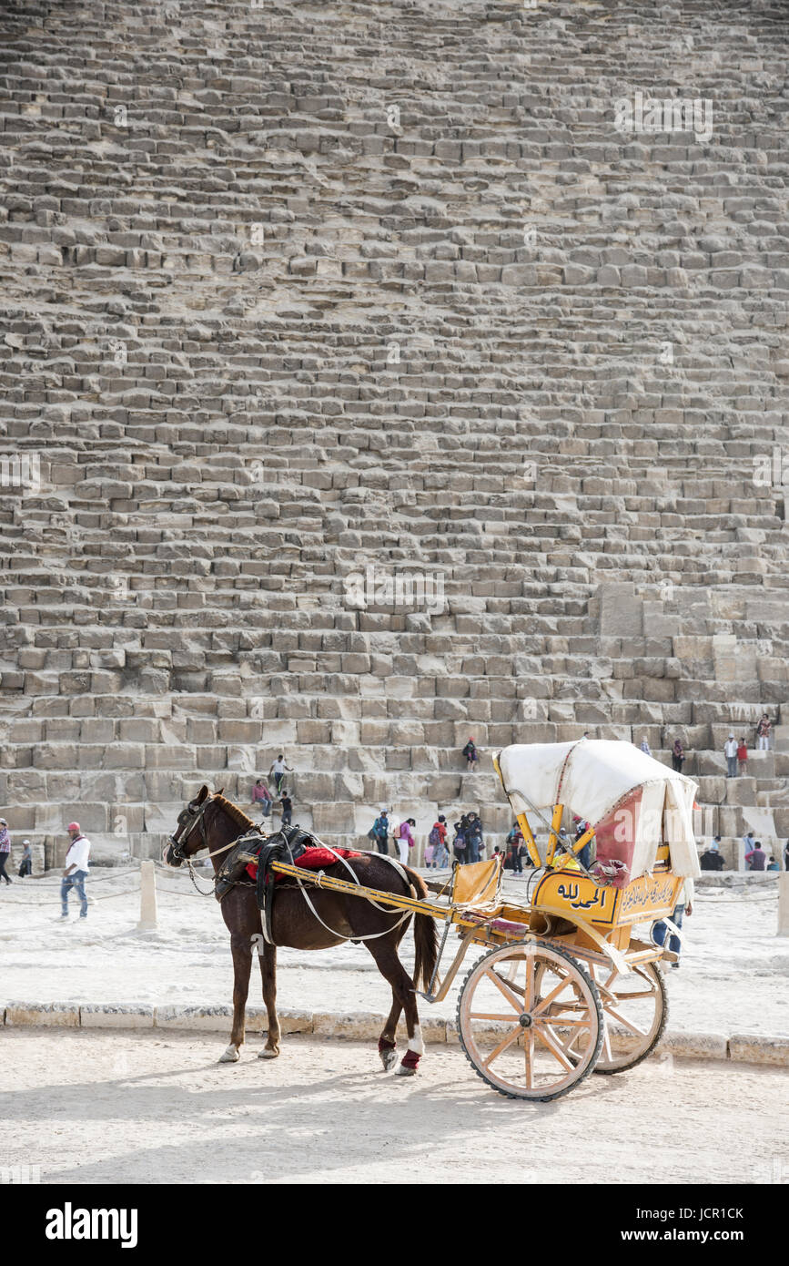 Carrozza a cavalli, vicino le grandi piramidi di Giza in Egitto Foto Stock