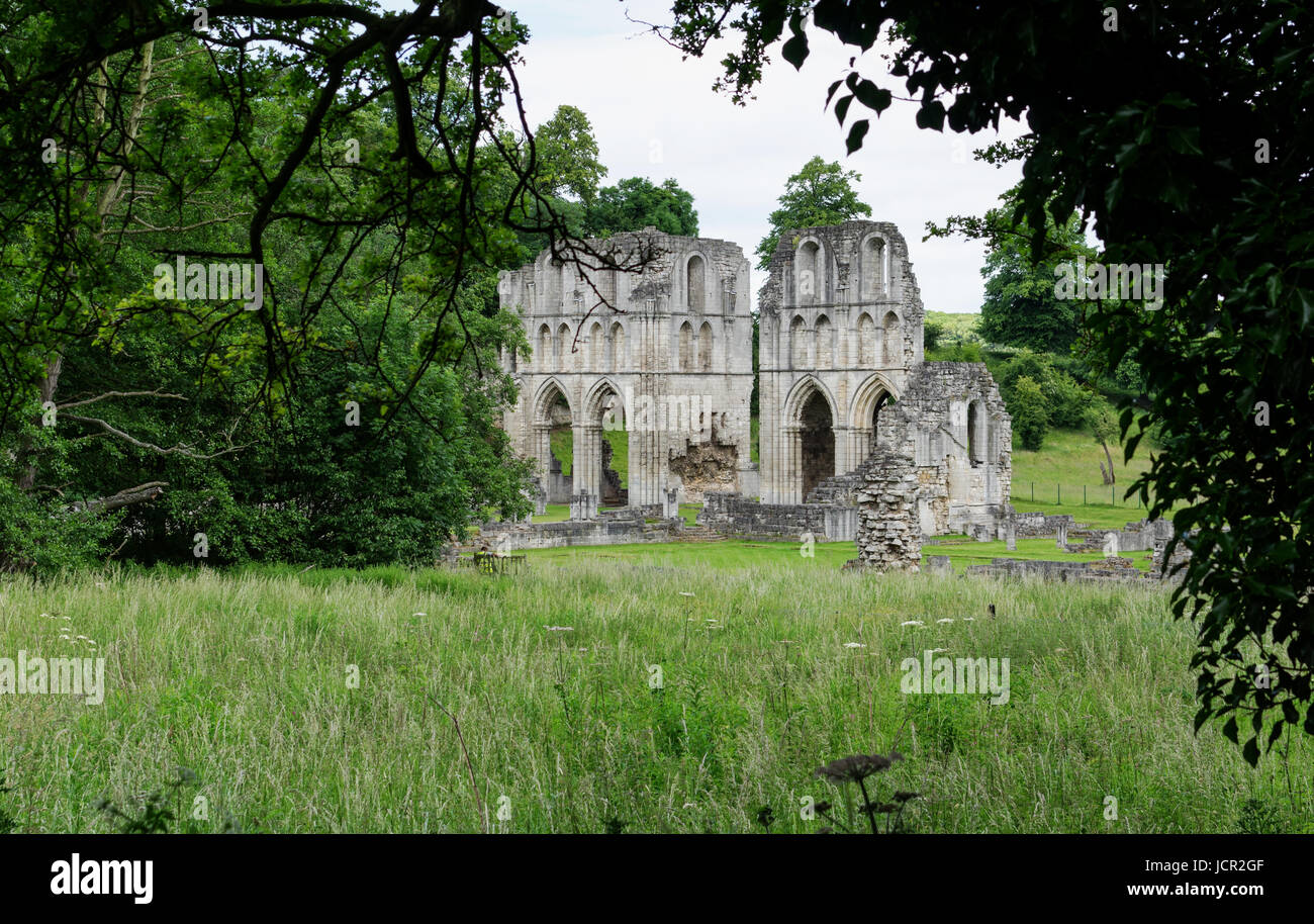 Le rovine di Roche Abbey, Maltby, Rotherham, Inghilterra Foto Stock