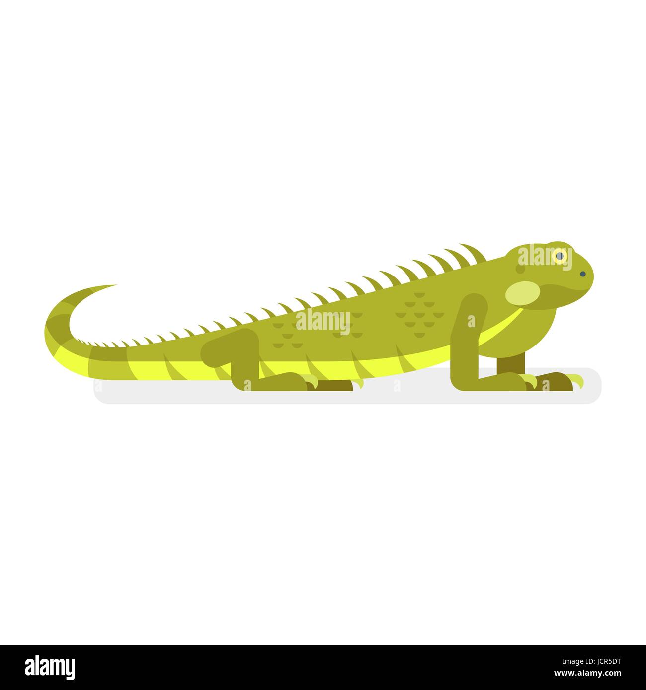 Vettore stile piatto illustrazione di iguana. Icona per il web. Isolato su sfondo bianco. Illustrazione Vettoriale