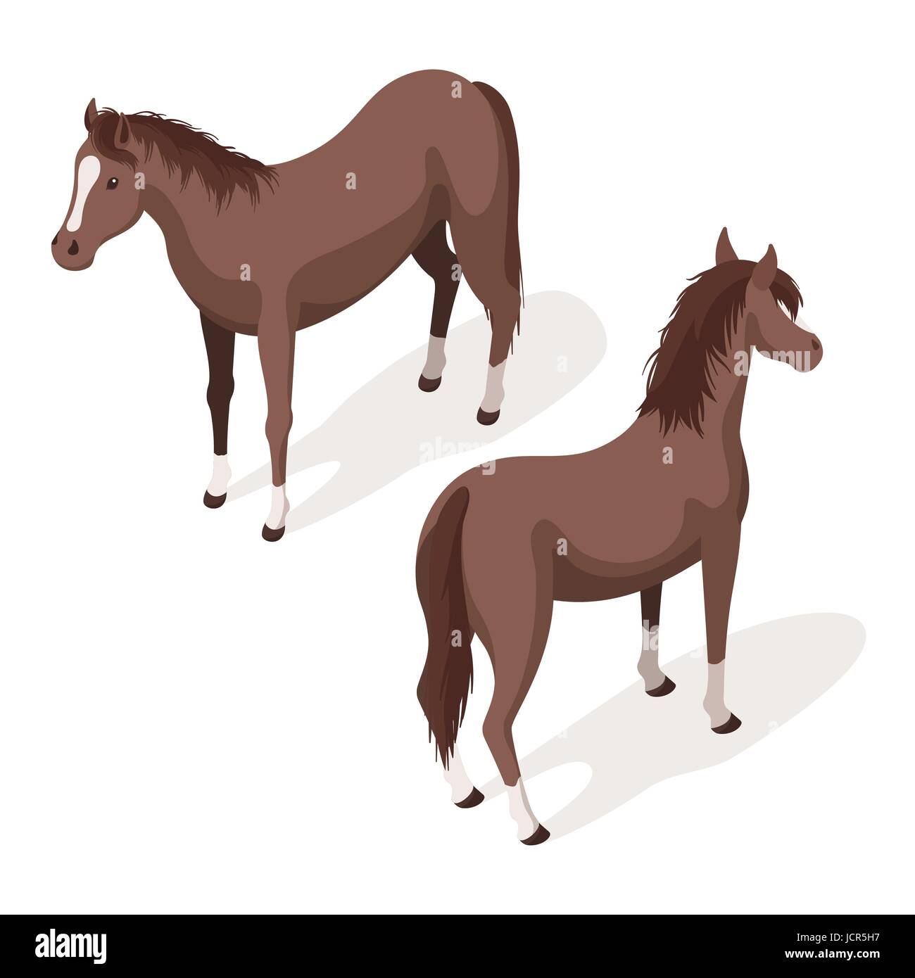 Isometrica, 3d illustrazione vettoriale di marrone sorrel cavalli. Indietro e in vista frontale. Icona per il web. Isolato su sfondo bianco. Illustrazione Vettoriale