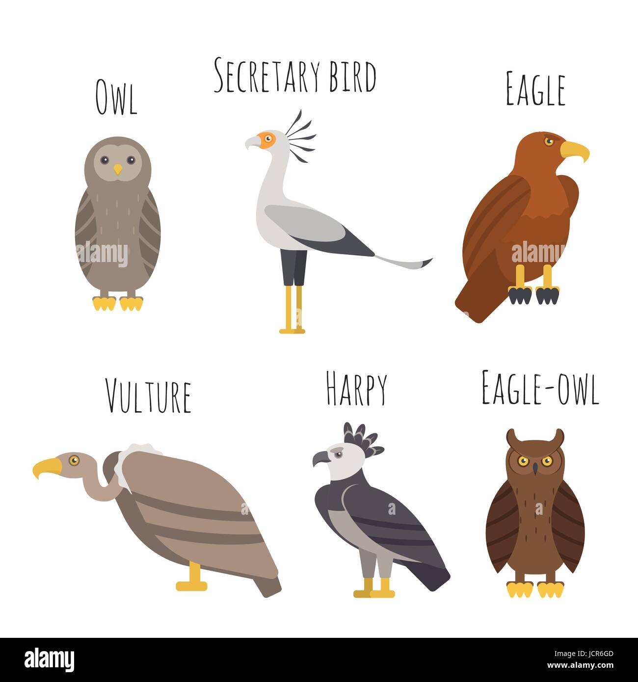Set di vettore di coloratissimi uccelli rapaci icone. Il gufo, avvoltoio, Eagle e arpia. In stile appartamento. Illustrazione Vettoriale