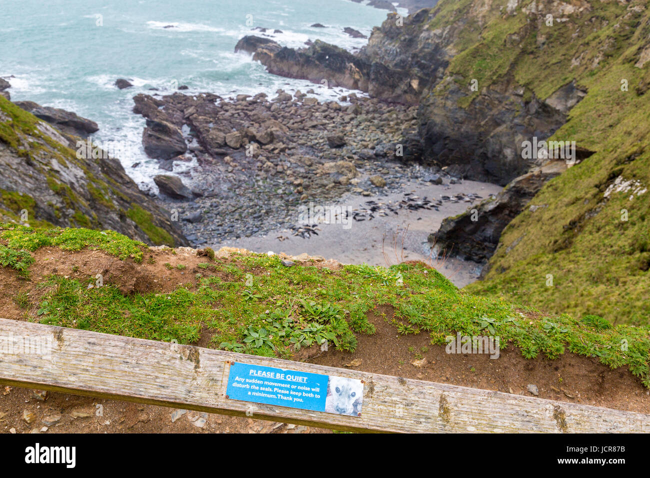 Segno sulle ringhiere in legno al di sopra della Baia di montone grigio colonia di tenuta vicino a Godrevy Point sulla costa nord della Cornovaglia, England, Regno Unito Foto Stock