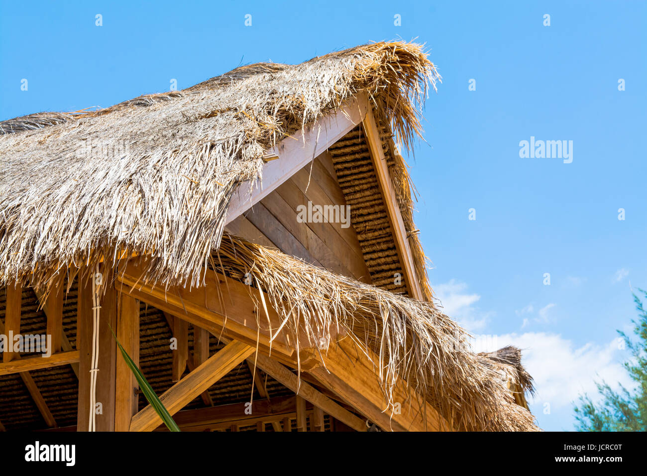 Basso angolo di vista tradizionale tetto in paglia House Foto Stock