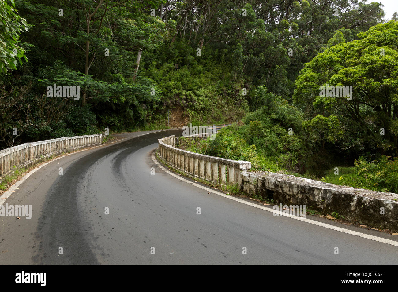 Una delle tante curve della strada a Hana Highway. Foto Stock