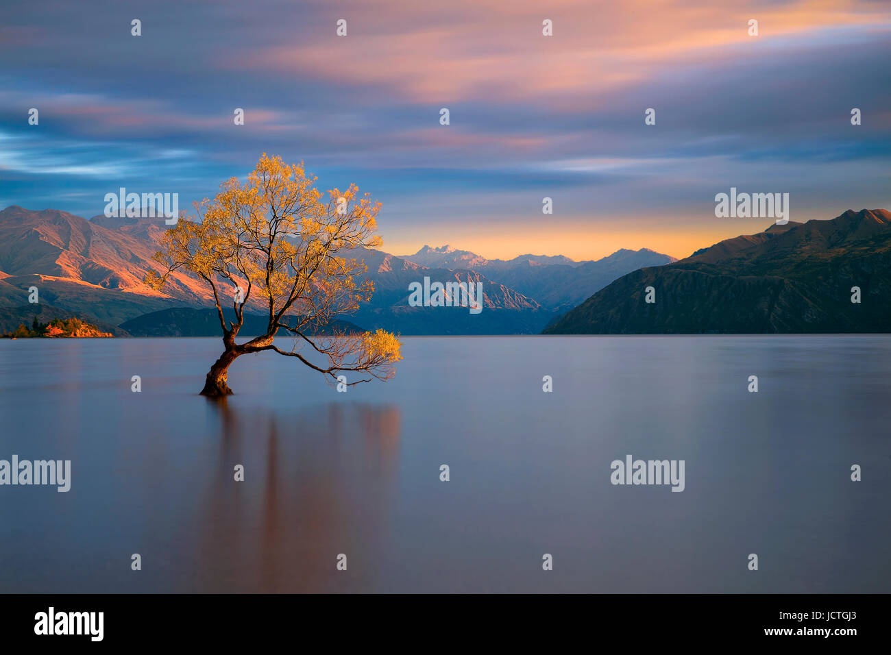 Il Wanaka Lone Tree, Nuova Zelanda Foto Stock