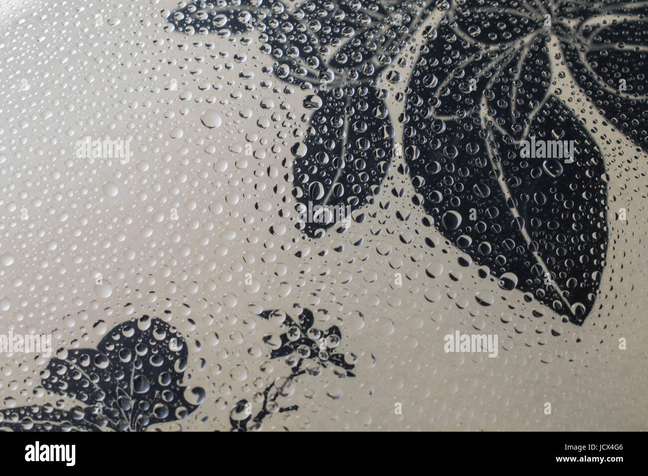 Raindrop background con disegno floreale Foto Stock