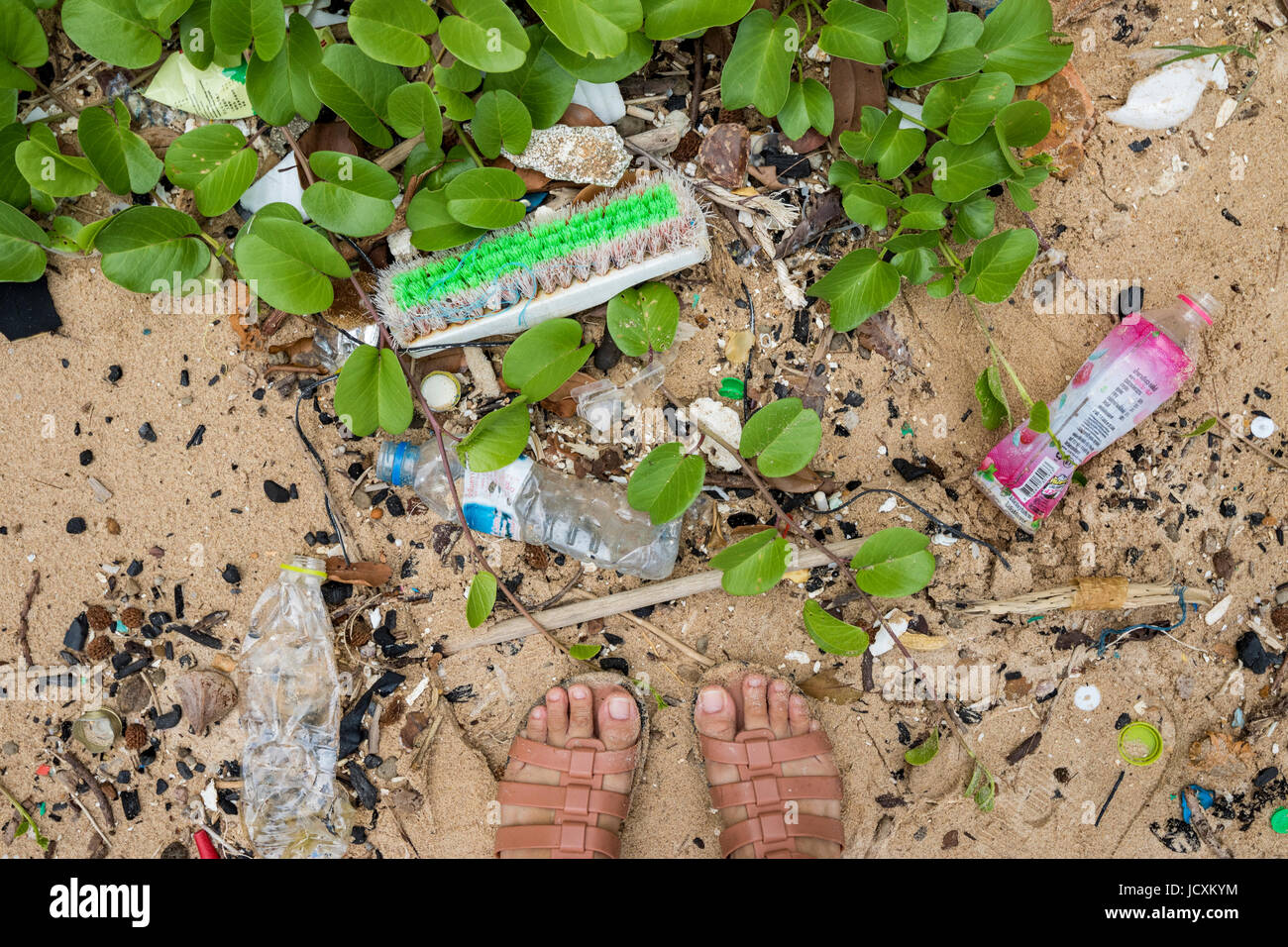 Cestino nell'oceano lavato fino sulla spiaggia Foto Stock