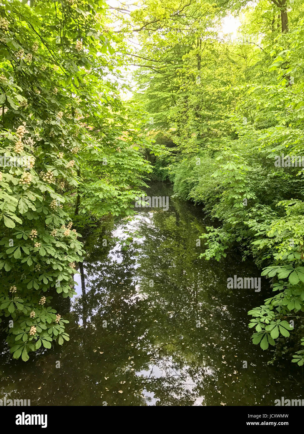 Minnewaterpark e Minnewater lago nella città vecchia di Bruges, Belgio. Foto Stock