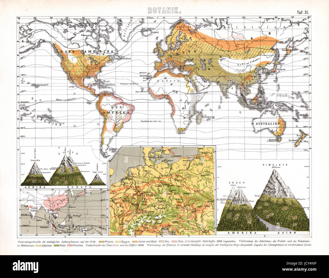 Cl1874 bilder botanical mappa che mostra le varie regione biomi e le principali colture regionali, foresta. Vengono inoltre illustrati i biomi di varie catene montuose comprese le Alpi, HIMALAYA, andes che mostra il Monte Bianco e il monte everest. Foto Stock