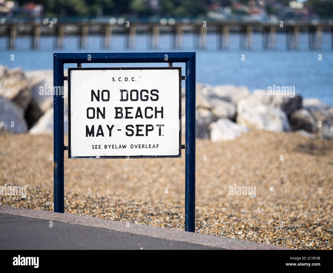 Segno di dettare no cani sulla spiaggia tra Maggio e Settembre a Felixstowe, una piccola località balneare nel Suffolk, Regno Unito Foto Stock