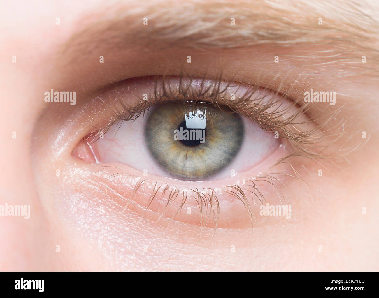 Incredibili occhi umani closeup Foto Stock