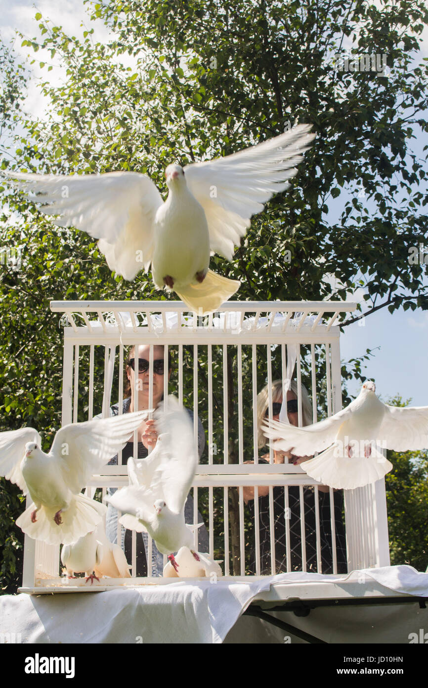 Colomba casa ricordi estivi evento - colomba hospice casa tenere un servizio per gli amici, famiglie e cari. La manifestazione comprendeva una visualizzazione di mano girasoli di metallo, sostenuto da donazioni e molti con nomi incisi. Foto Stock