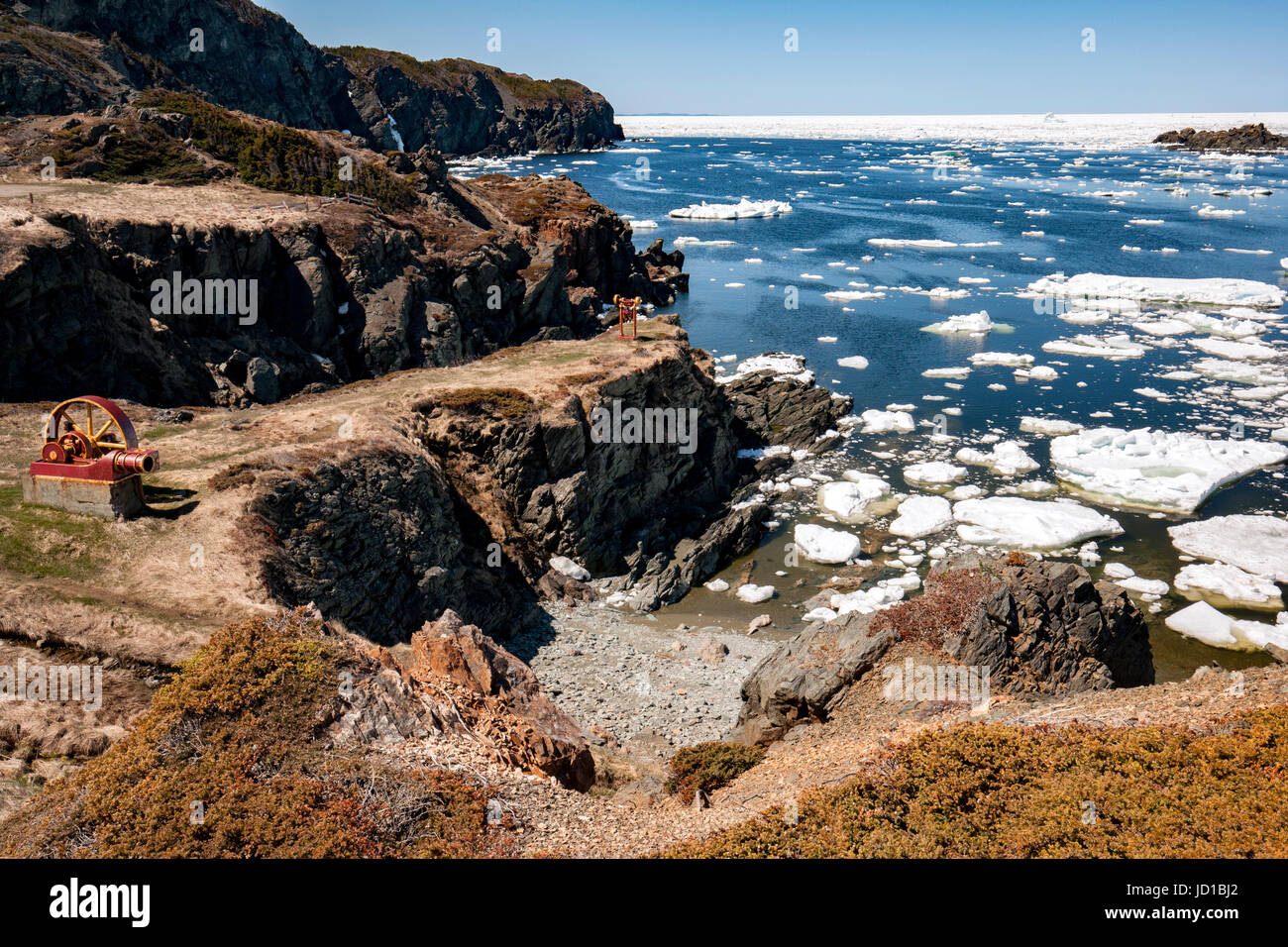 Assonnato Cove - Testa di corvo, Twillingate, Terranova, Canada Foto Stock