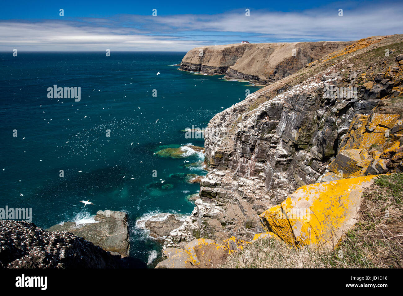 Robusto il paesaggio costiero di Cape Santa Maria della riserva ecologica, Cape Santa Maria ad Avalon Penisola, Terranova, Canada Foto Stock