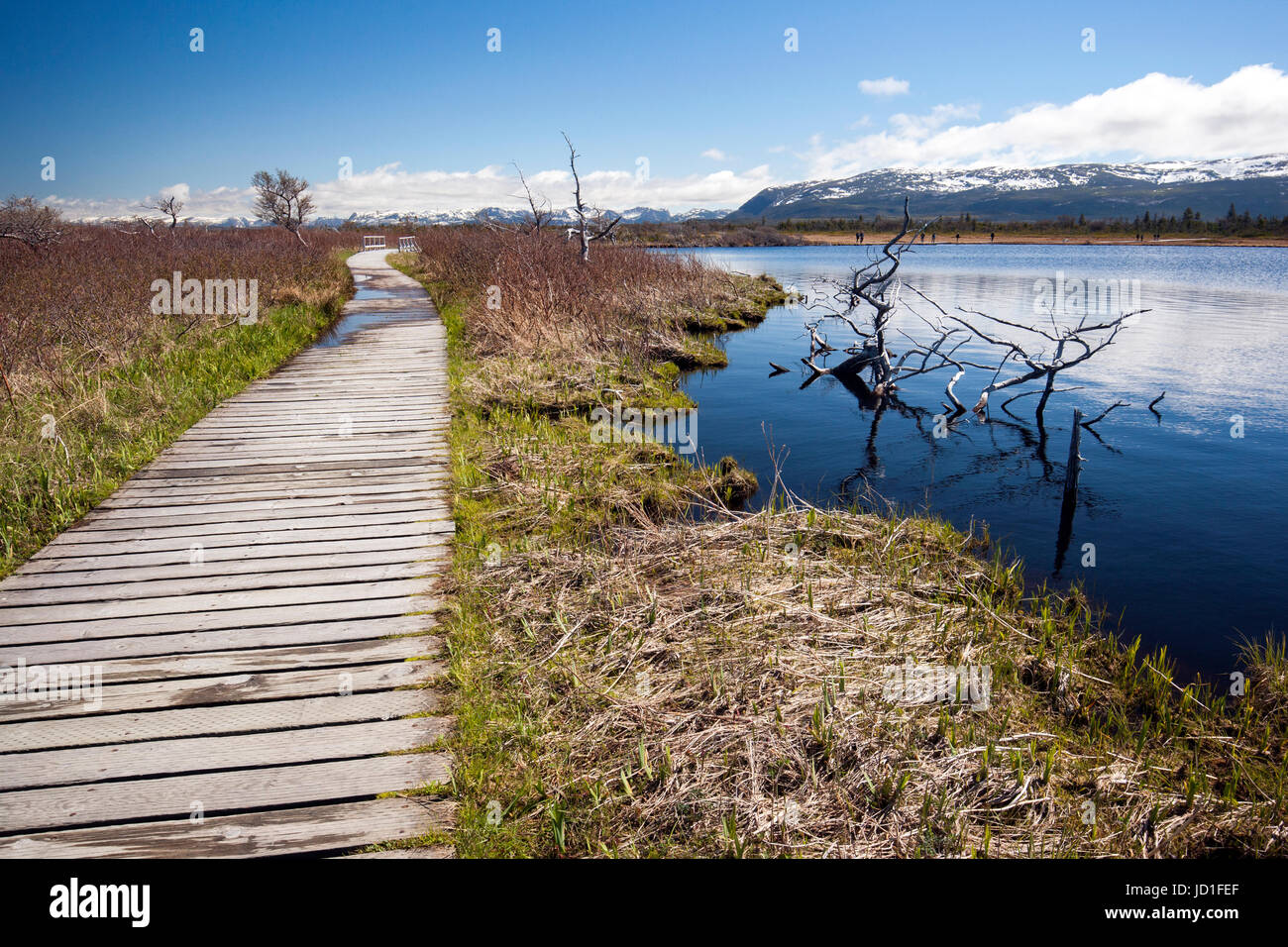Sentiero per Western Brook Pond, Parco Nazionale Gros Morne, Terranova, Canada Foto Stock