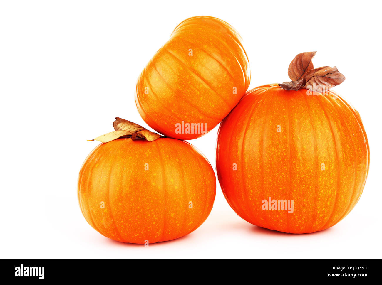 Arancione, isolato, raccolto, zucca, ottobre, sfondo, sfondo bianco, caduta, Foto Stock