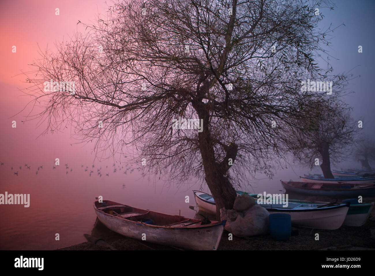 Crepuscolo al Lago Ulubat. Bursa. Turchia Foto Stock