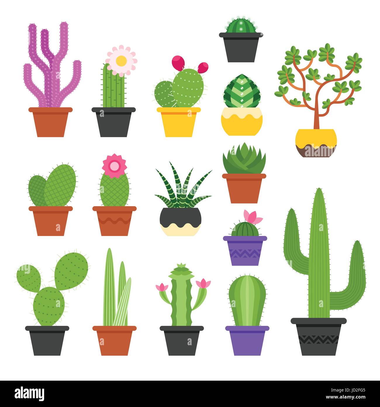 Vector piatto set colorati di varie cactus in vasi. Icona per il web.  Isolato su sfondo bianco Immagine e Vettoriale - Alamy
