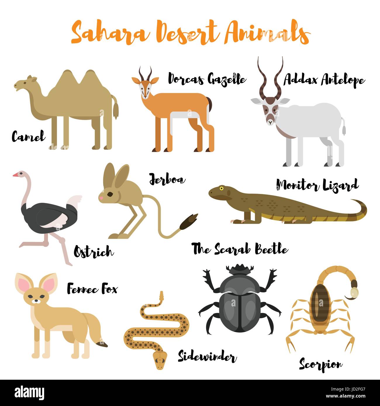 Vettore stile piatto set di deserto di animali selvatici. Icona per il web. Isolato su sfondo bianco. Illustrazione Vettoriale